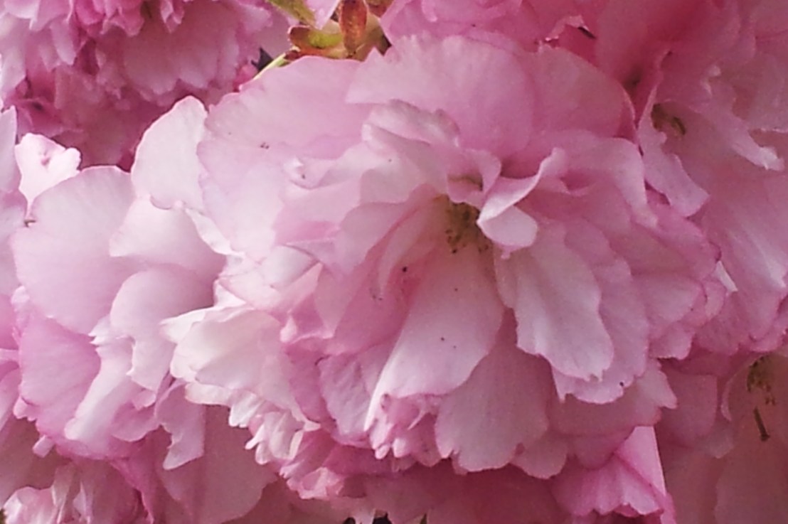 Bhagavad Gita Teachings- Chapter 10: Do Not Be&nbsp;Deluded