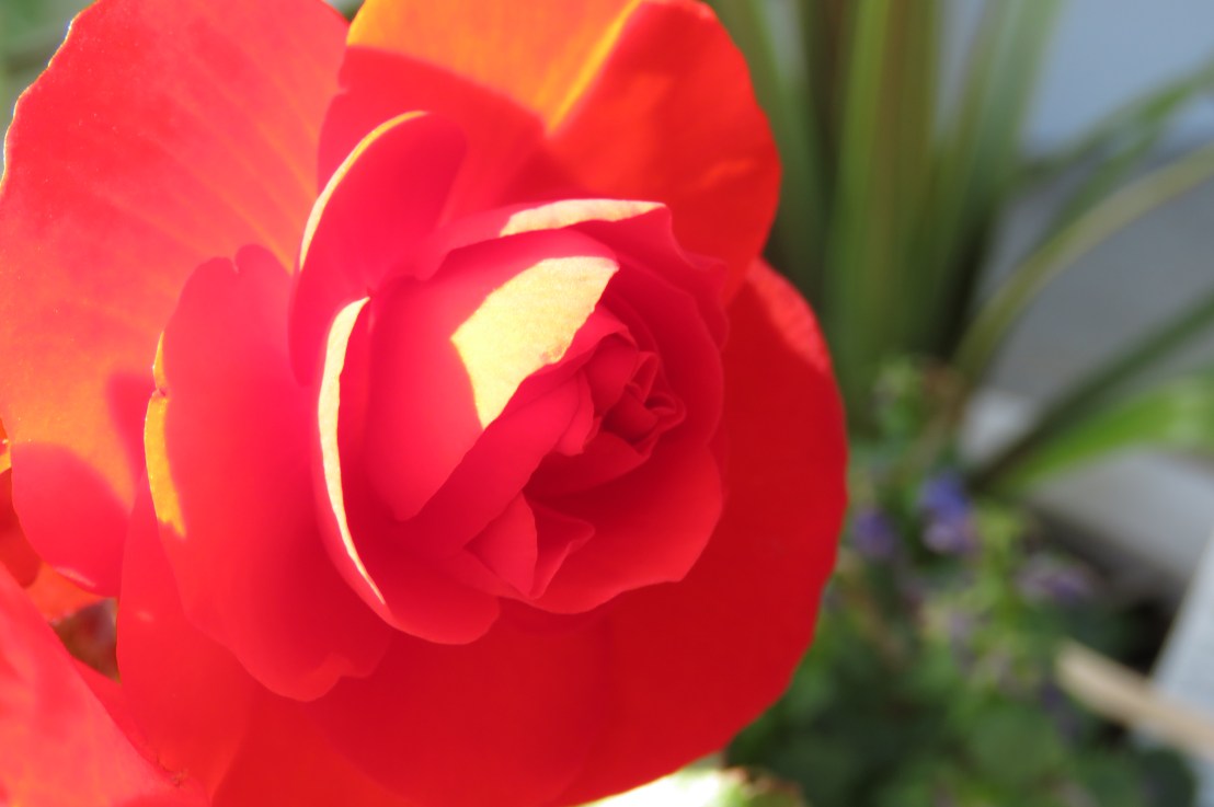 Bhagavad Gita teachings – Chapter 4: Free Yourself from&nbsp;Expectations