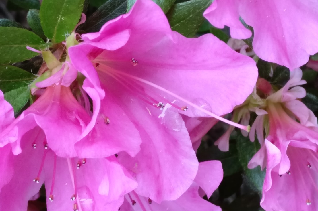 Bhagavad Gita Teachings -Chapter 12: Path of&nbsp;Devotion