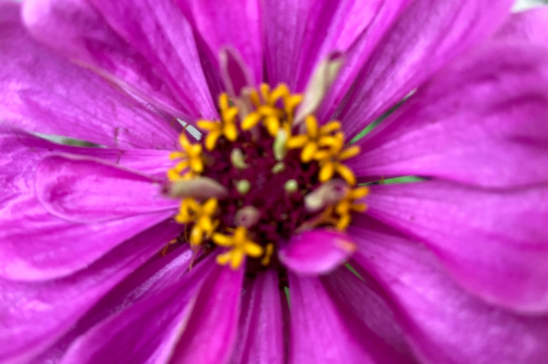 Bhagavad Gita Teachings -Chapter 15: Master Your Senses