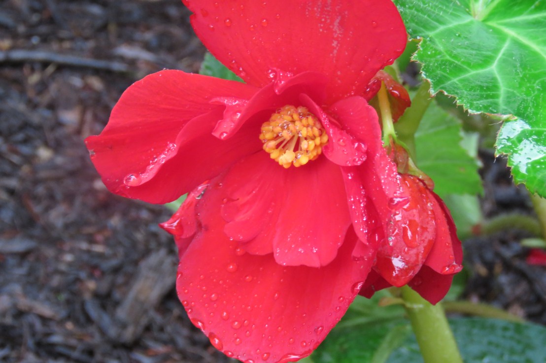 Bhagavad Gita Teachings -Chapter 17: Have&nbsp;Faith