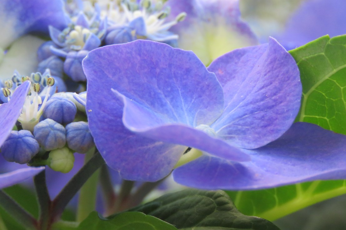 Bhagavad Gita Teachings – Chapter 5: Do Your&nbsp;Duty