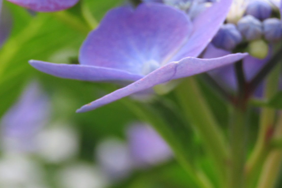 Bhagavad Gita Teachings – Chapter 7: Your Faith Shapes Your&nbsp;Rewards