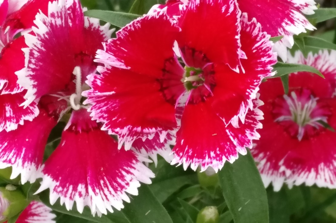 Bhagavad Gita Teachings – Chapter 8: What you Ponder Is What you&nbsp;Get