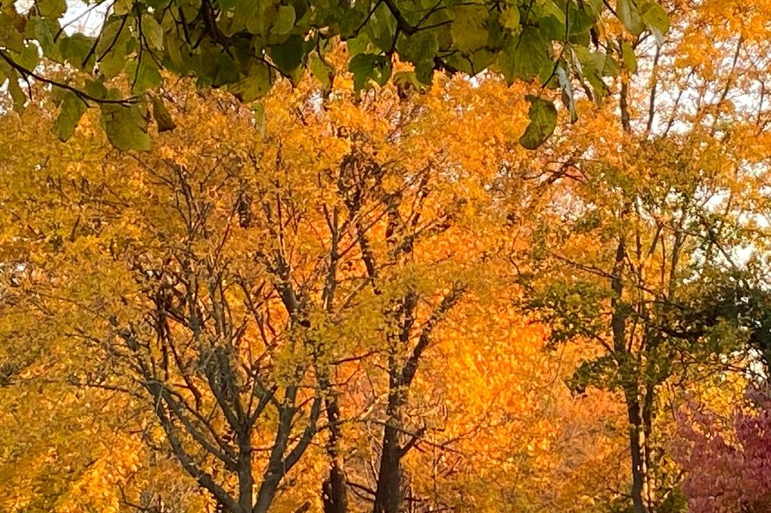 From Mahabharat: A Wise&nbsp;Dialogue