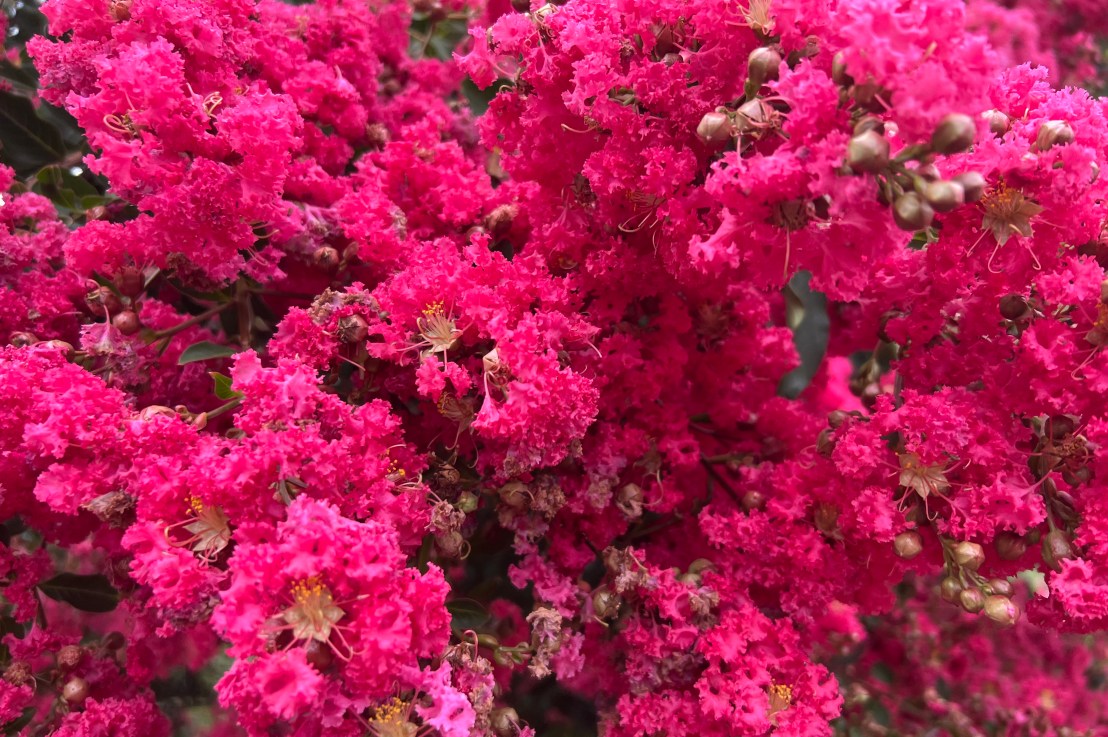 The Love Letter&nbsp;Technique